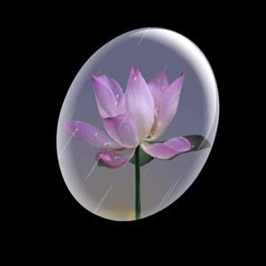 Meet your Posher, Andy